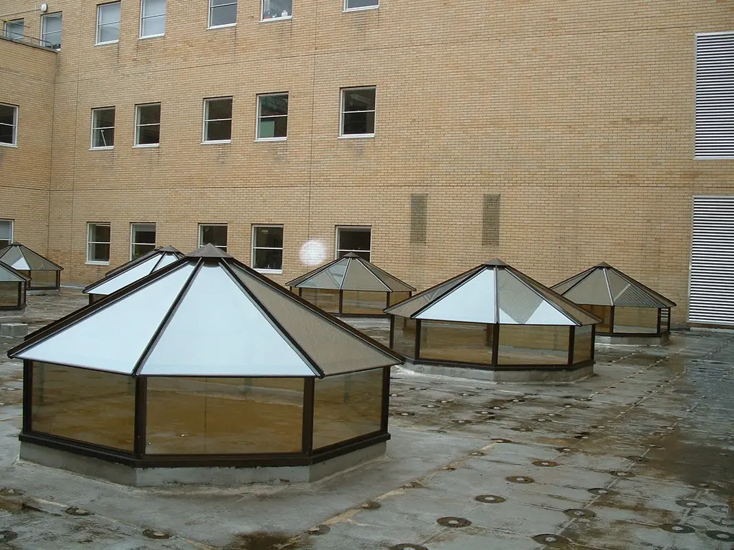 Flat Roof Skylights South Kensington